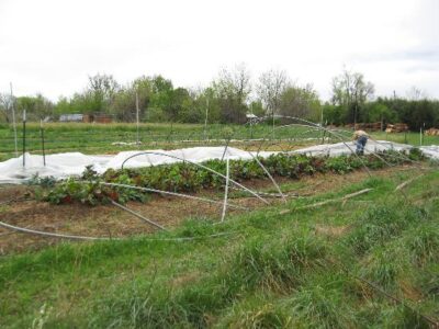 It Takes A Village … Image